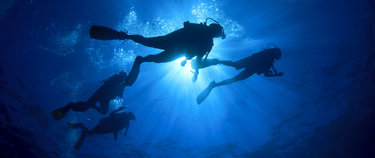 Underwater Visual Inspection